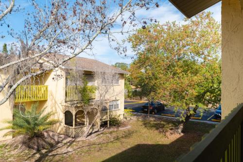 Tarpon Springs Apartments-13